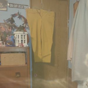 Women's Lane Bryant Drape Straight Pants